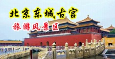 护士秘书肉丝按摩女御姐中国北京-东城古宫旅游风景区